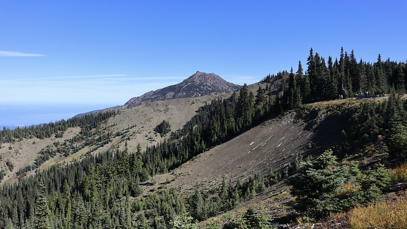 Hurricane Ridge, Olympic National Park