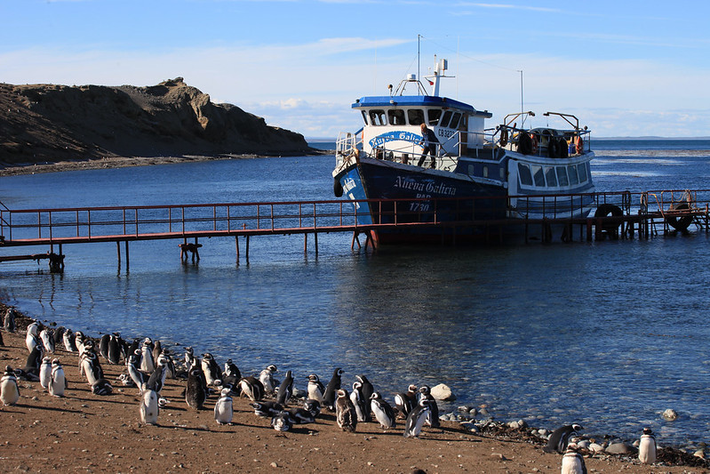 Isla Magdalena, Chile