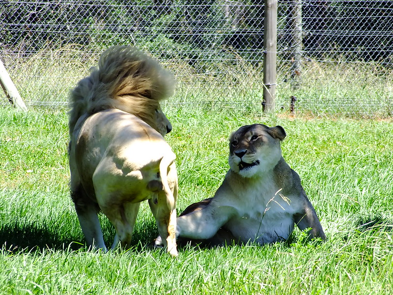 Jukani Wildlife Sanctuary