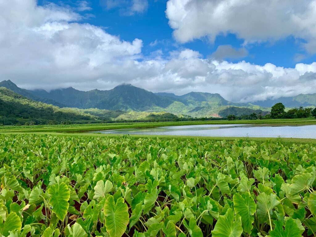 Kauai