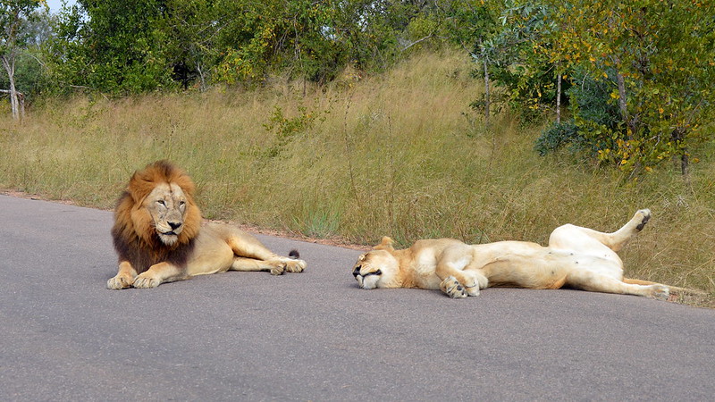 Kruger National Park, South Africa