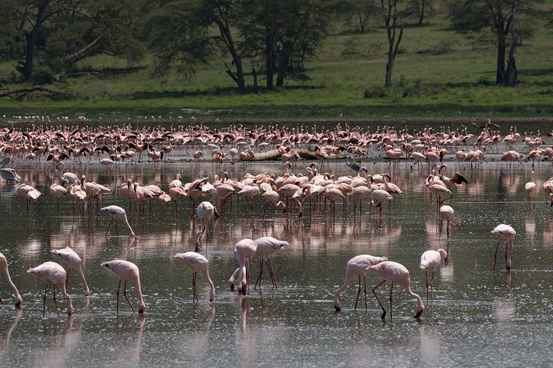Lake Nakuru National Park