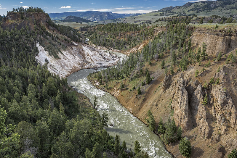 Looking up the Yellowstone River