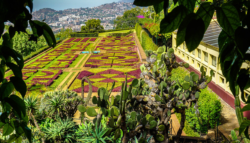 Madeira Botanical Gardens, Funchal