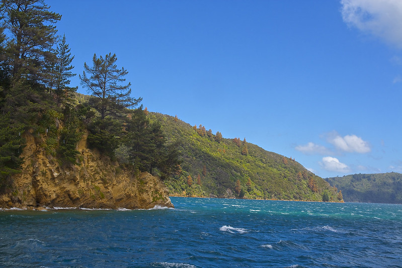 Marlborough Sounds