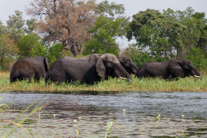 Maun, Botswana