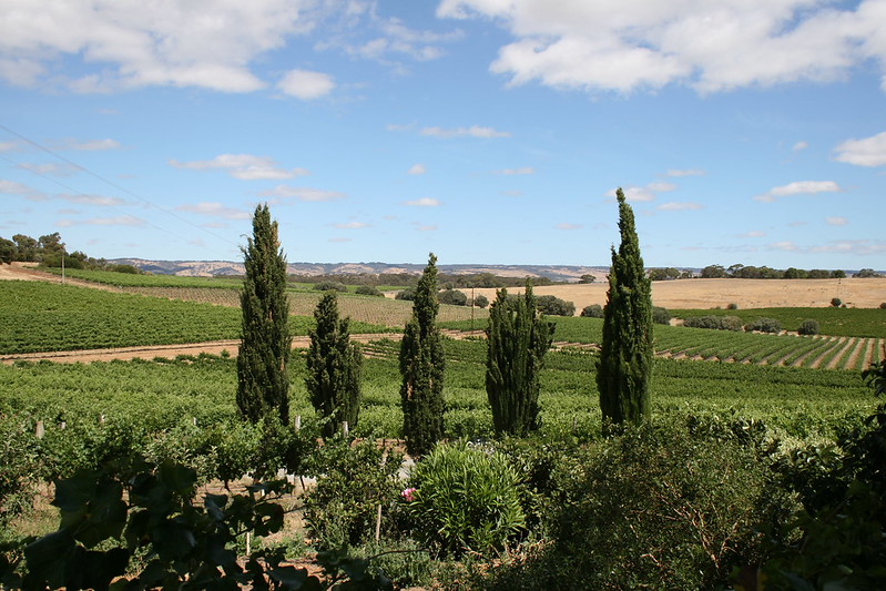 McLaren Vale