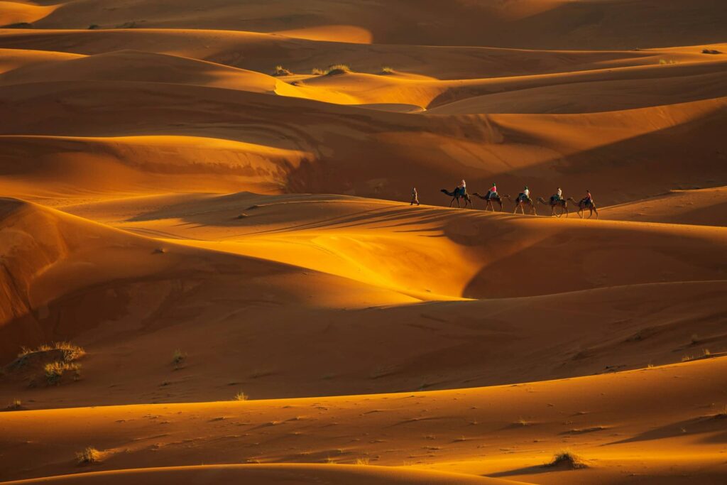 Merzouga The Expansive Dunes of the Sahara