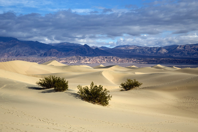 Mesquite Sand Dunes, Death Valley