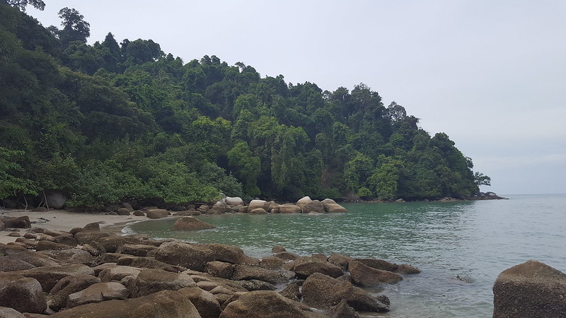 Monkey Beach - National Park of Penang