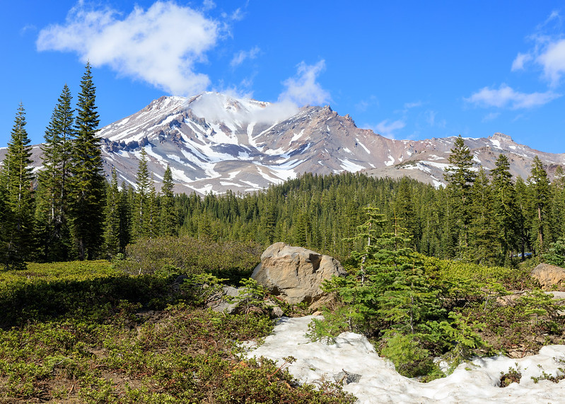 Mount Shasta