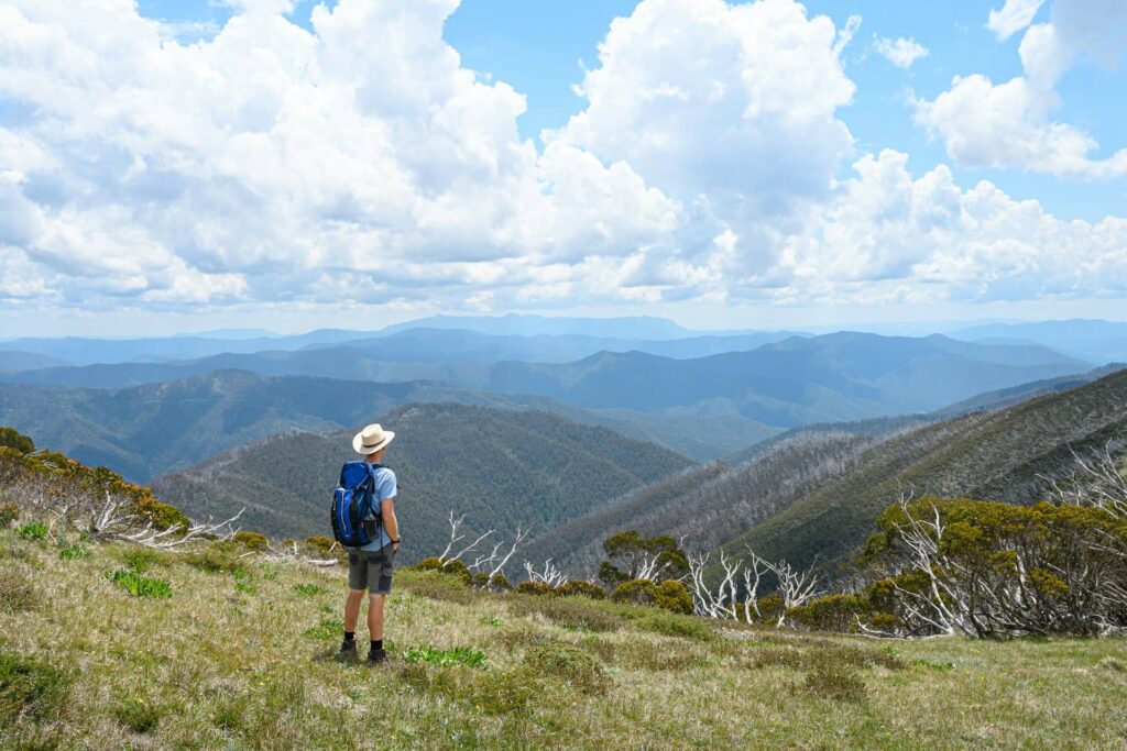 Near Mansfield, in High Country Victoria
