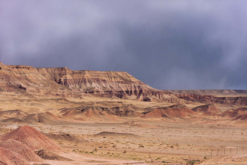 Northern Arizona