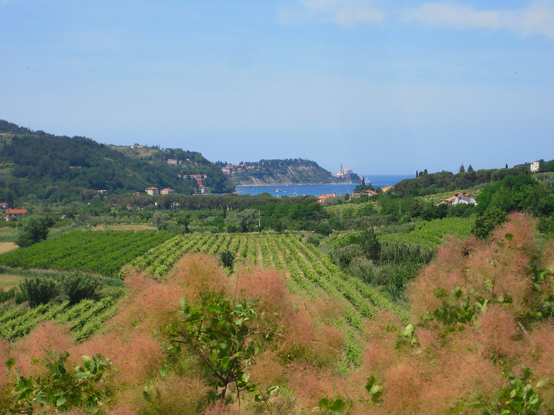 Parenzana