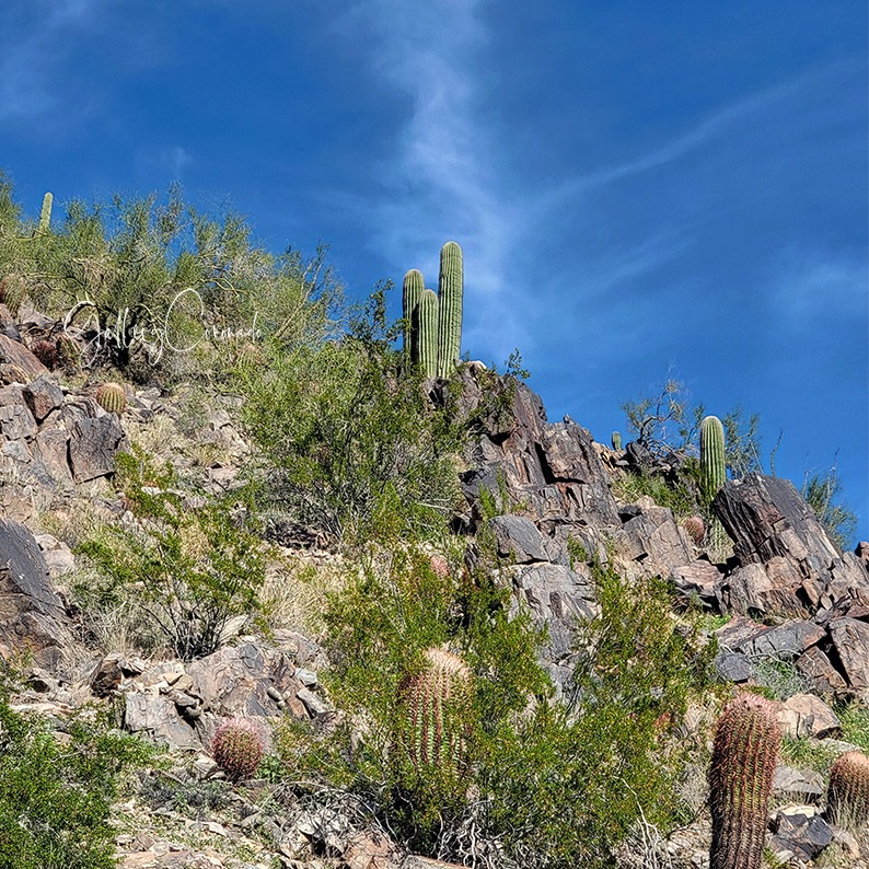Piestewa Peak