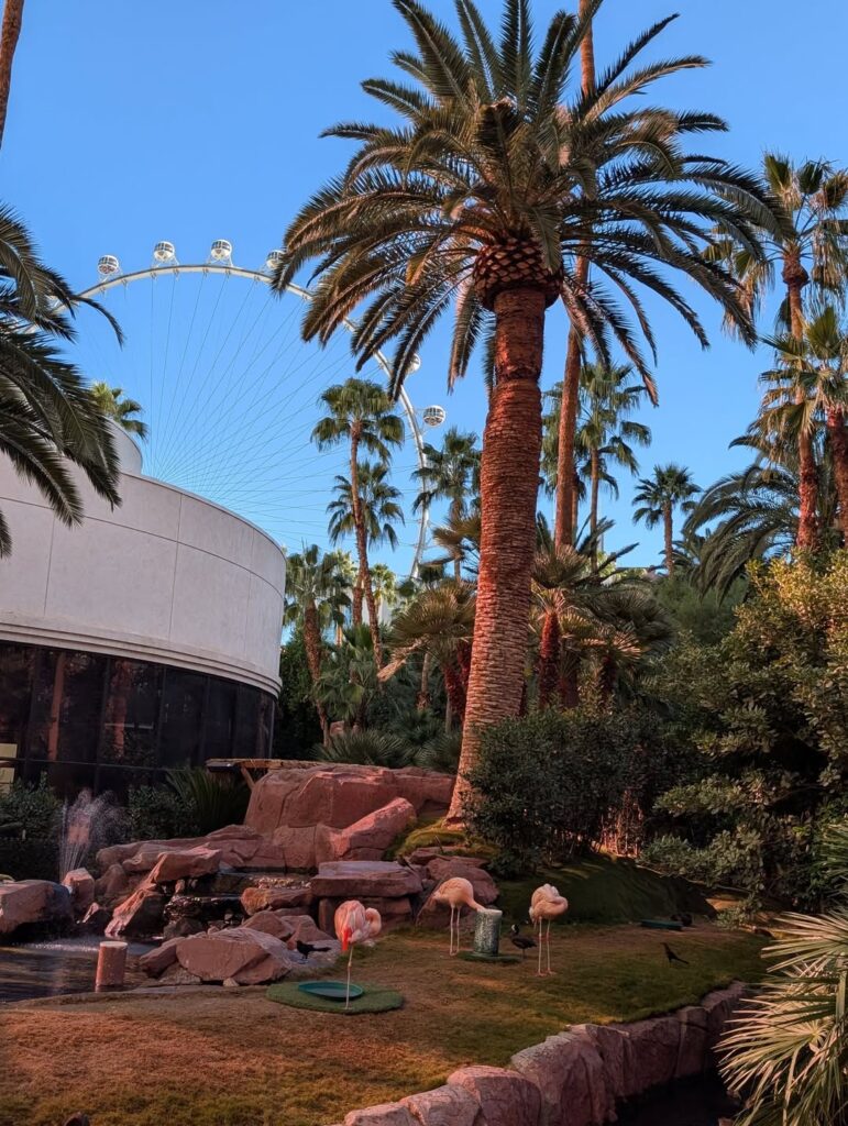 Pink Flamingos , The Flamingo Hotel