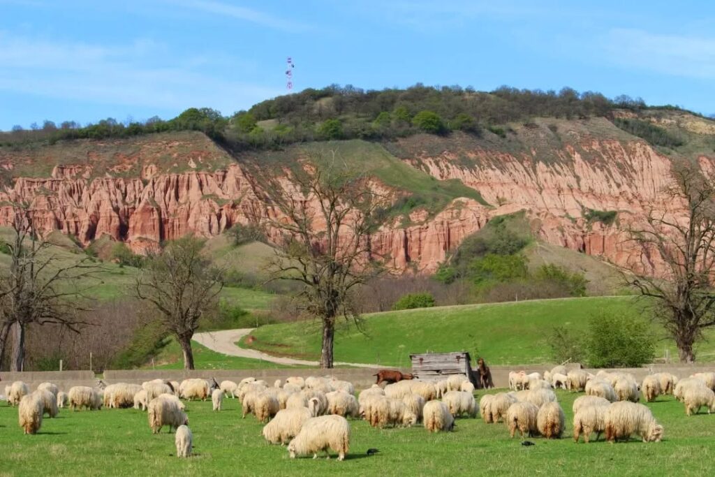 Râpa Roșie, Romania symo.08IG