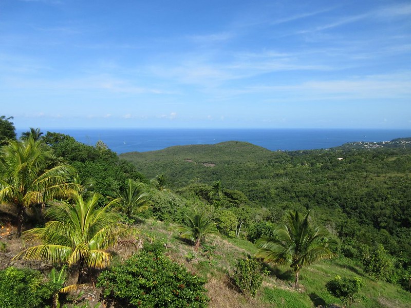Saint Lucia