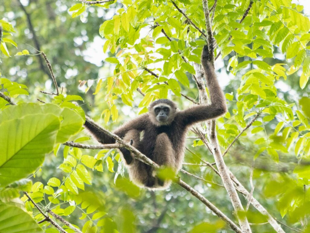 Sandakan, Sabah, Malaysia