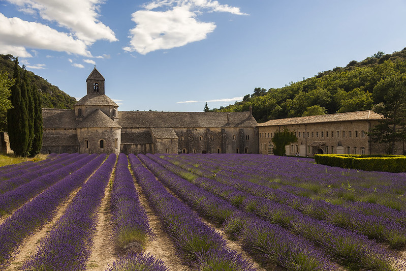 Sénanque Abbey