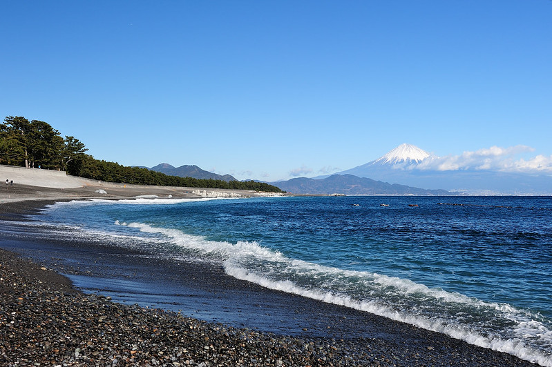 Shizuoka: Seafood, Green Tea, and Fuji Views