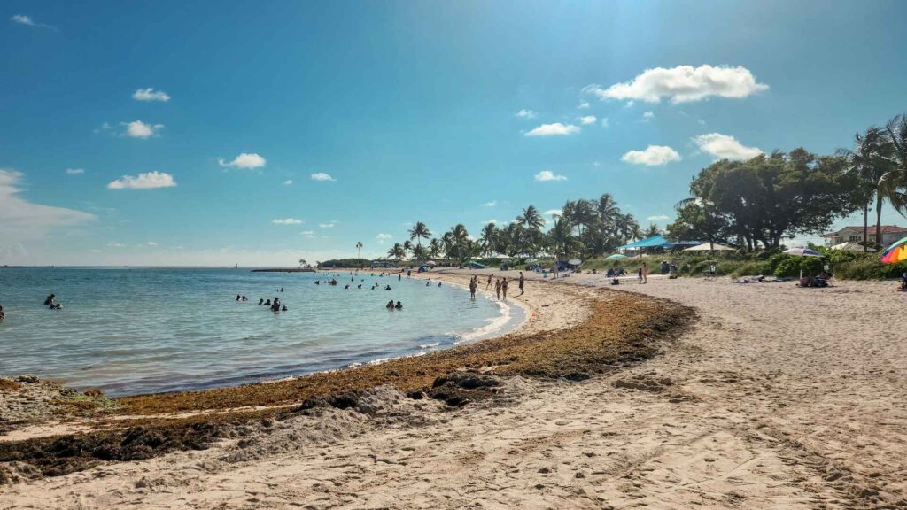 Sombrero Beach, Marathon