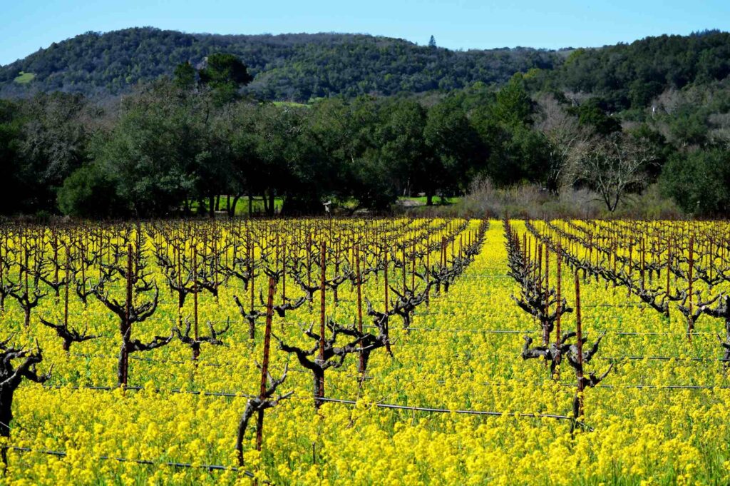 Sonoma, California