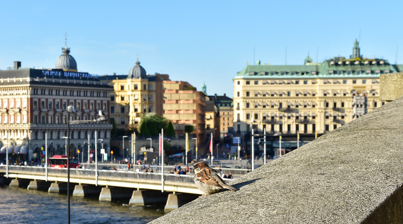 Stockholm