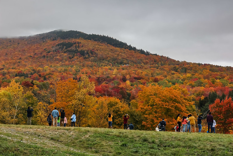 Stowe