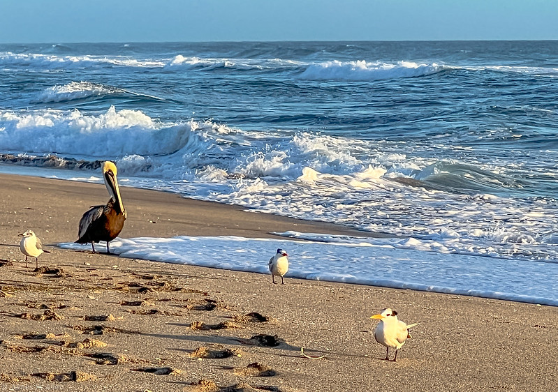 Stuart Beach