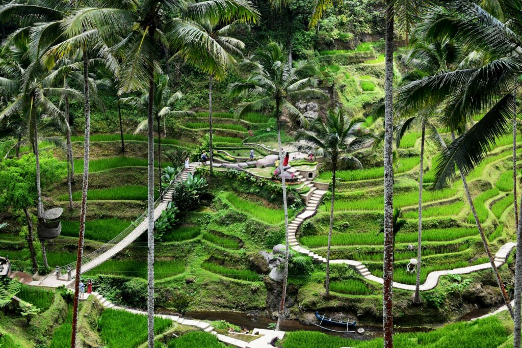 Tegallalang Rice Terraces, Ubud, Bali
