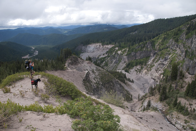 Timberline Mountain