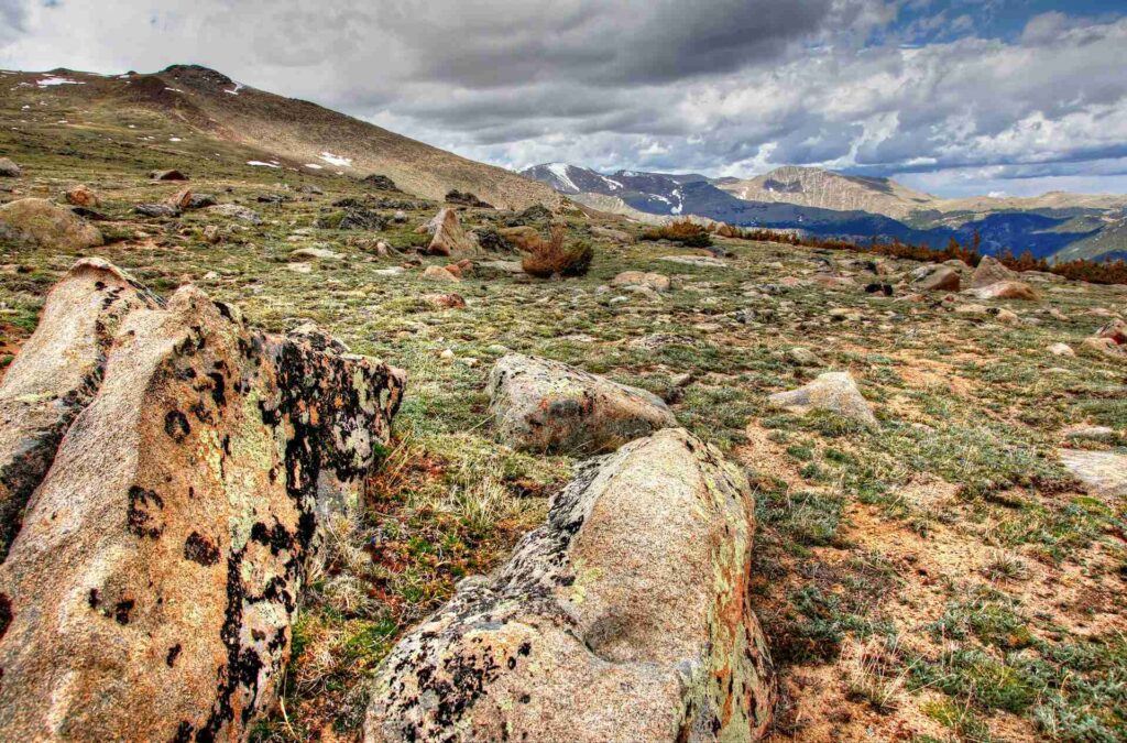 Trail Ridge Road
