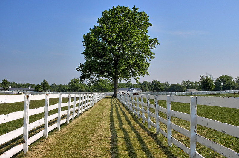 White Birch Farm, County Road 526, Allentown, NJ