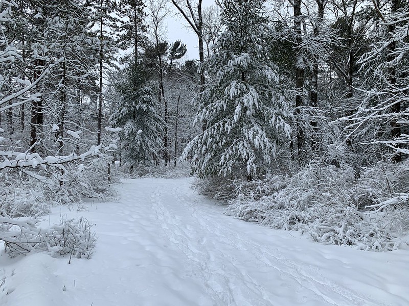 Winter Welcome in Kohler, Wisconsin