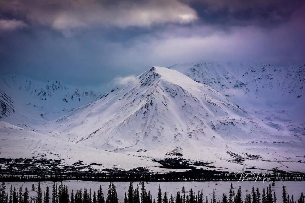 Winter Wonders in Fairbanks, Alaska