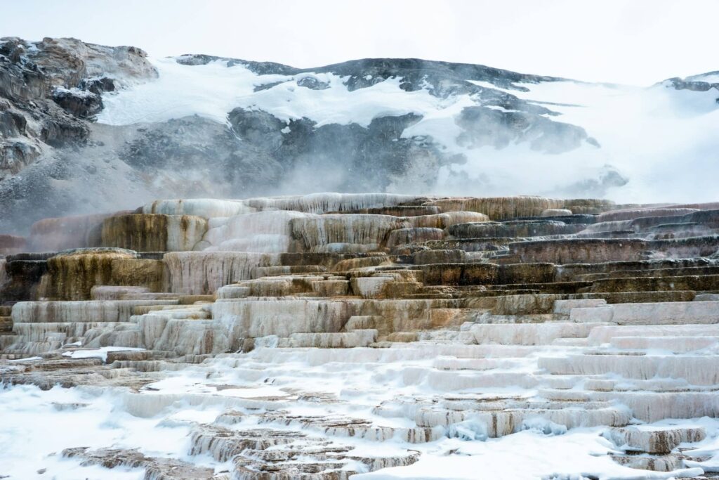 Winter Wonders in Yellowstone National Park