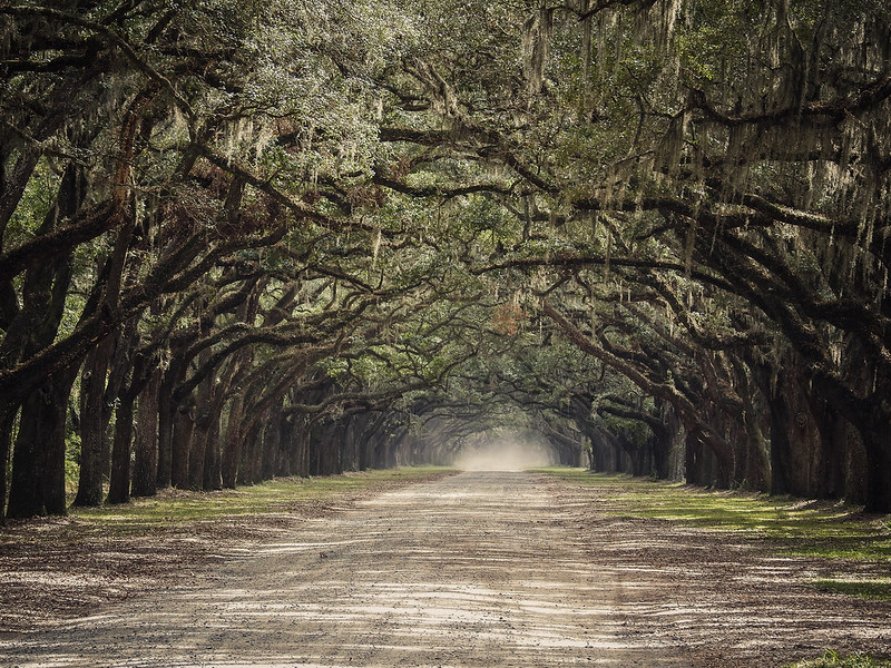 Wormsloe Historic site
