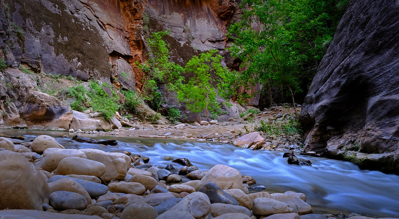 Zion Virgin River