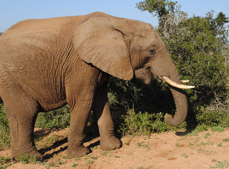 How To Get Around On Your South Africa Vacation