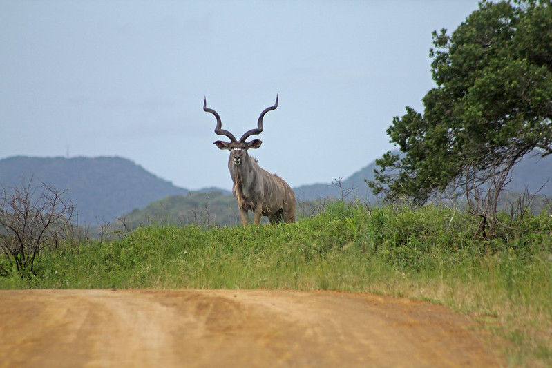 iSimangaliso Wetland Park, South Africa
