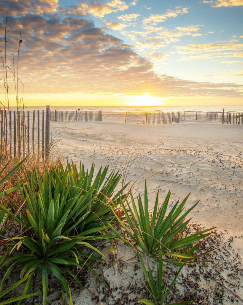 A Summer Escape to Folly Beach: Charleston’s Coastal Retreat