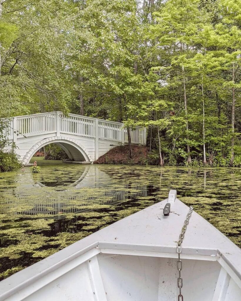 A Visit to Cypress Gardens: A Cinematic Experience in Nature