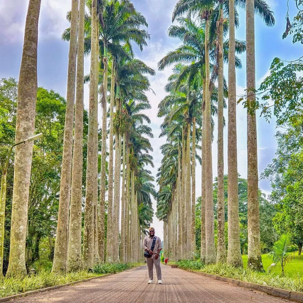Aburi Botanical Gardens: Peaceful Green Escape