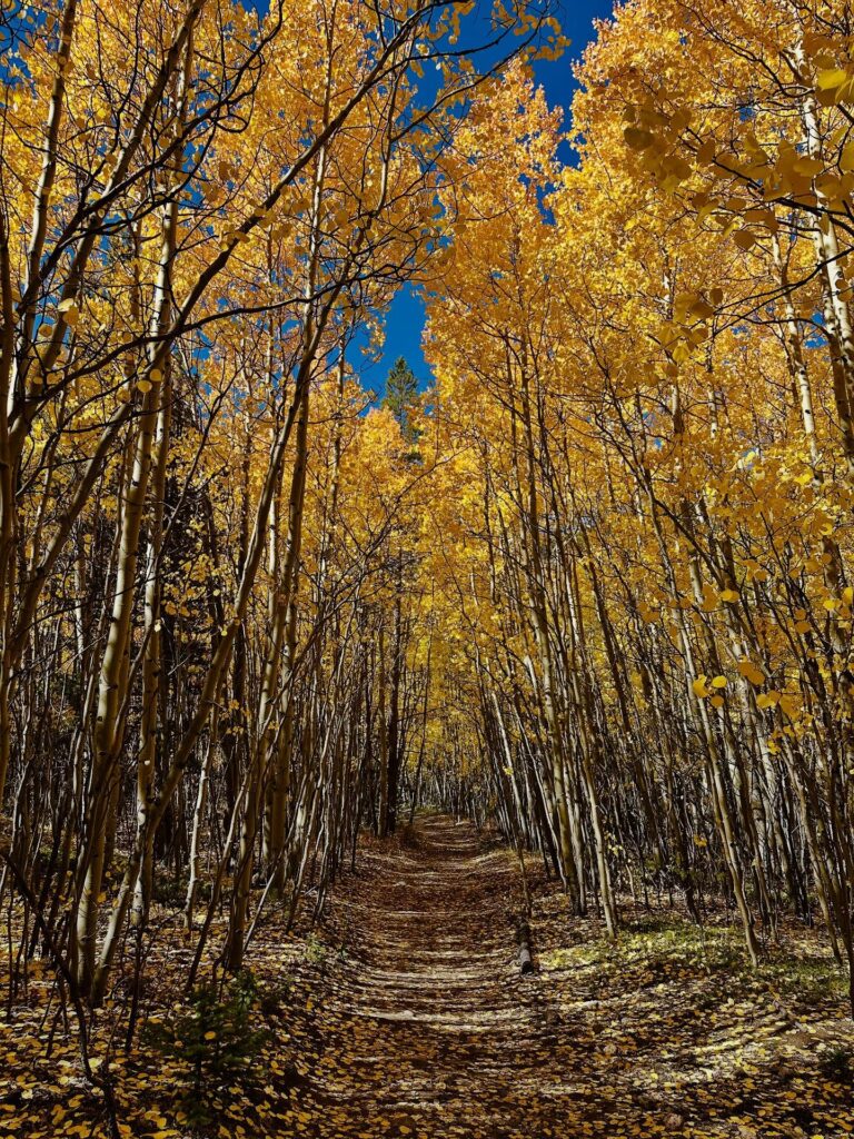 Abyss Lake Trail: A Colorado Gem for Fall Hiking