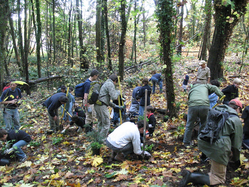 Activities in Discovery Park