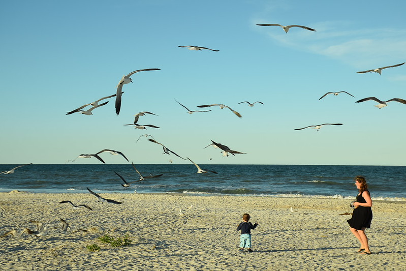 Anastasia State Park Beach