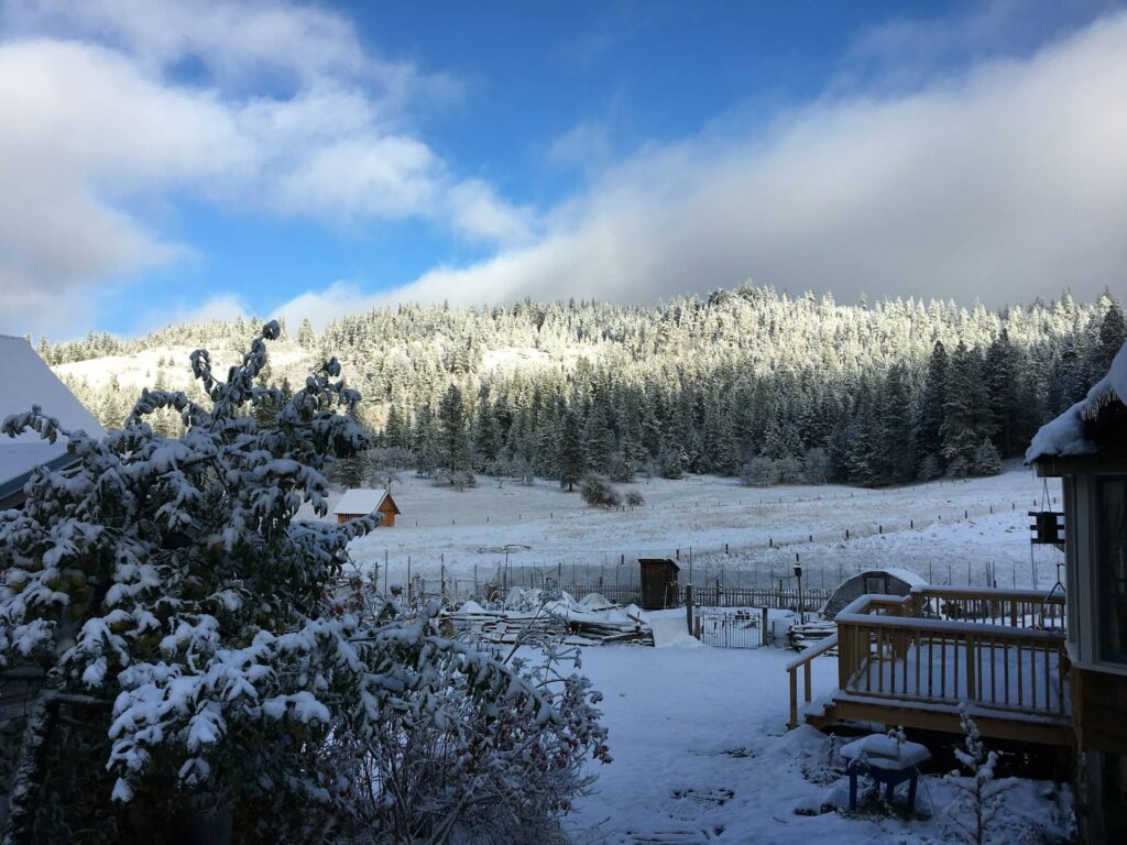 Ashland Shakespeare, Slopes, and River Days