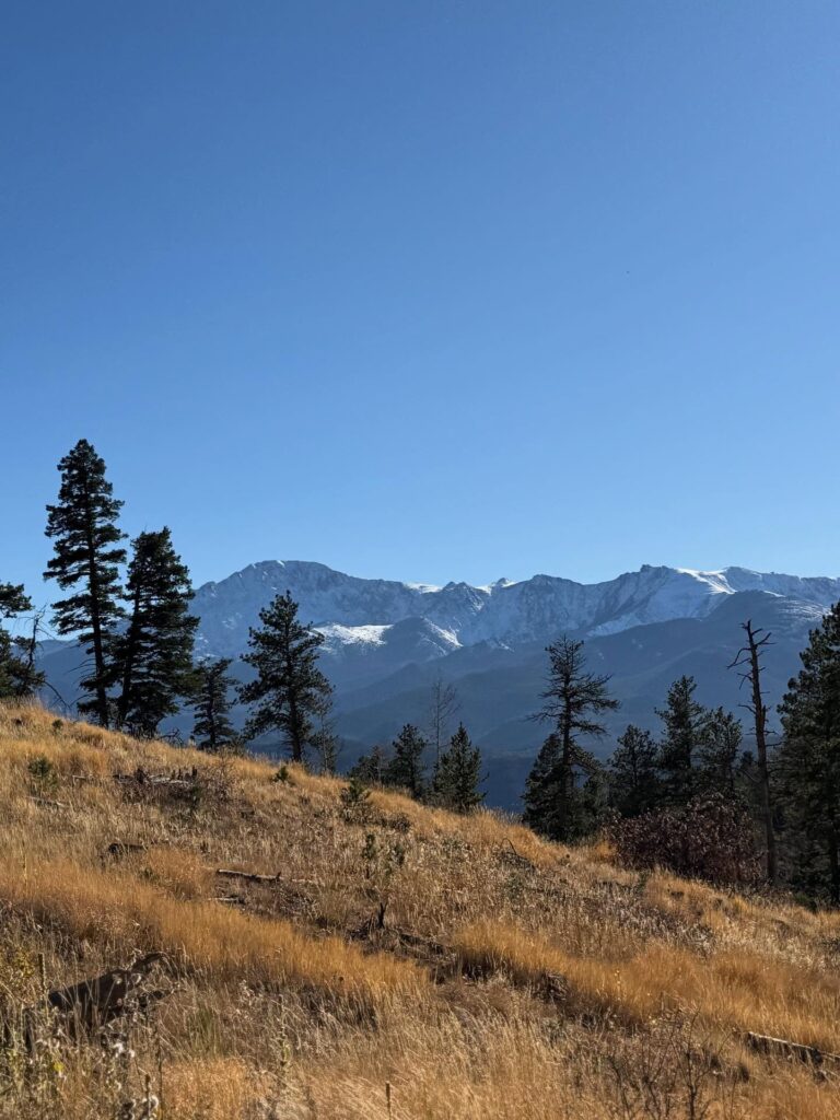 Bald Mountain