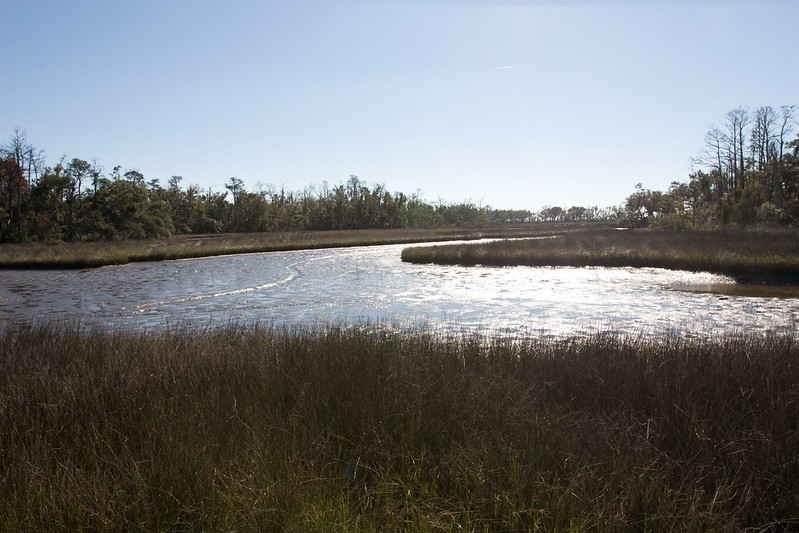 Bay St. Louis, Mississippi: A Seaside Escape Full of Character